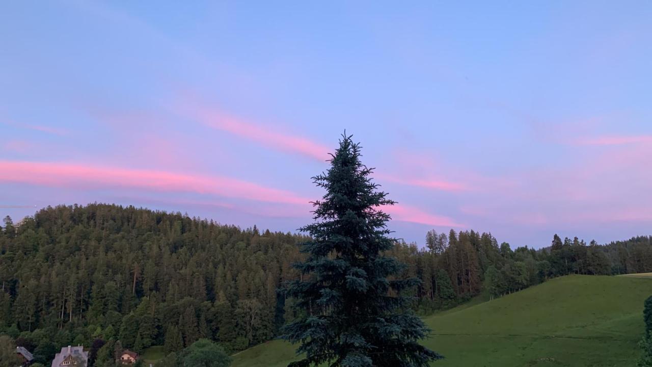 Ferienhaus Rotzinger Hinterzarten Eksteriør billede